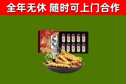 宁化县回收冬虫夏草价格